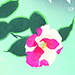 Kieko Tsurusawa Gallery